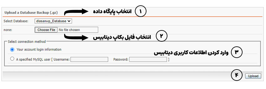 ریستور دیتابیس در دایرکت ادمین DirectAdmin